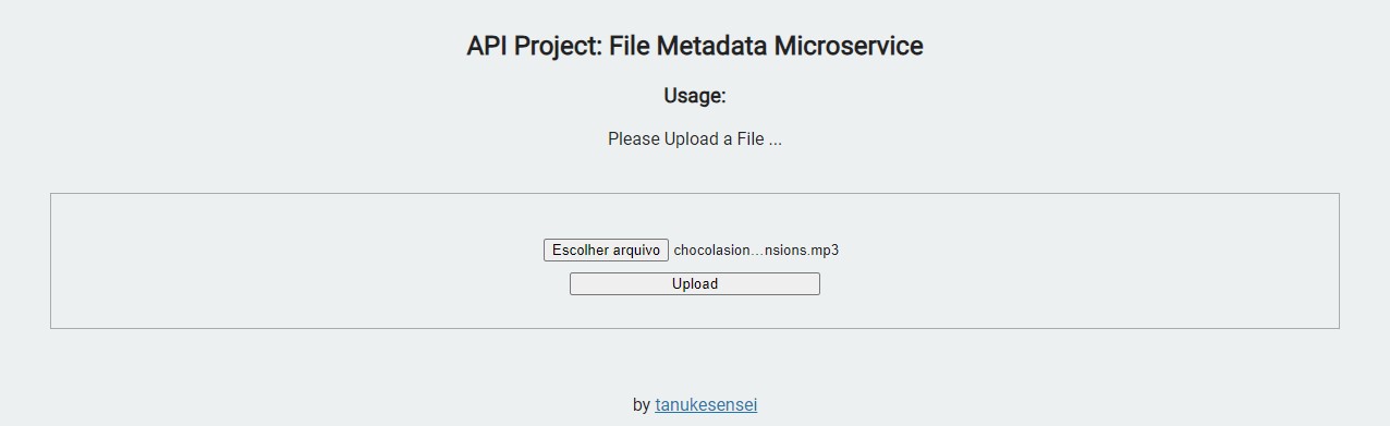 File Metadata